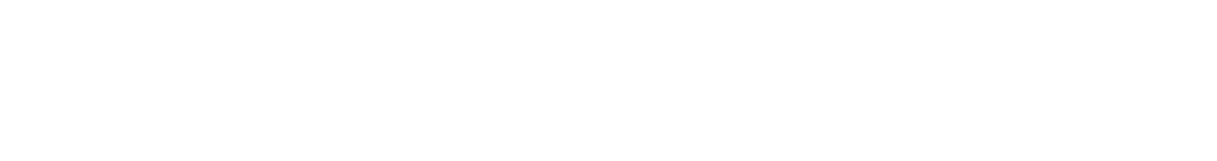 Montiservis